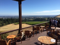 View of Willamette Valley from Domaine Drouhin